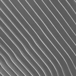 Content and records management: ensuring your data assets can work for you