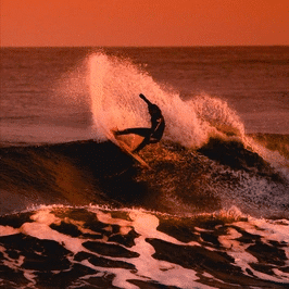 Cofomo : l’agilité en action