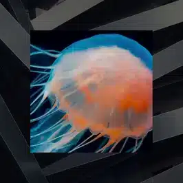 Co-Innovation: human/machine collaboration