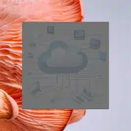 A cloud migration glowing with success